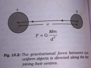 gravitational force